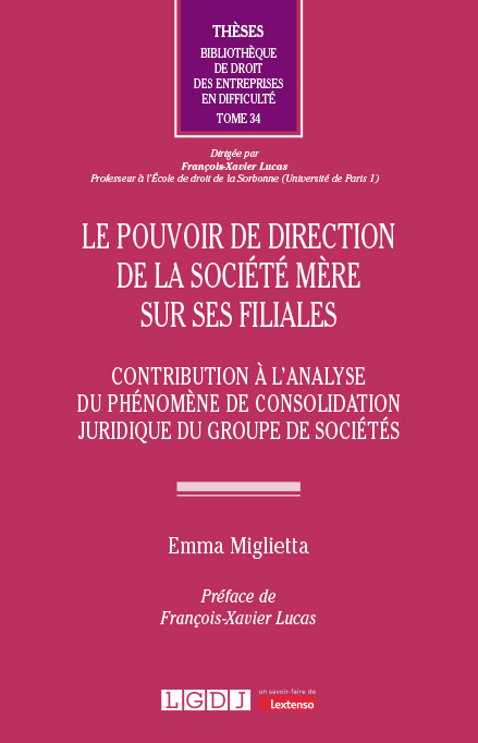 Le pouvoir de direction de la société mère sur ses filiales Le pouvoir de direction de la société mère sur ses filiales